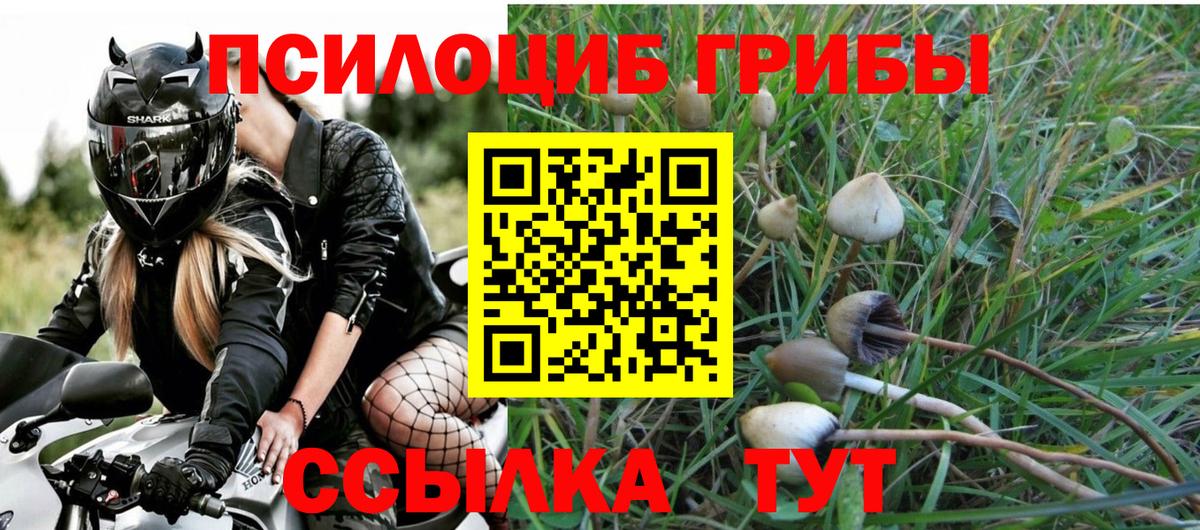Псилоцибиновые грибы GOLDEN TEACHER  Вход с VPN  Чернушка 