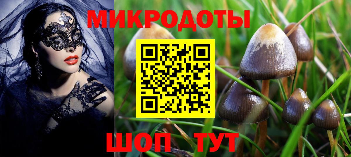 Галлюциногенные грибы Cubensis Чернушка
