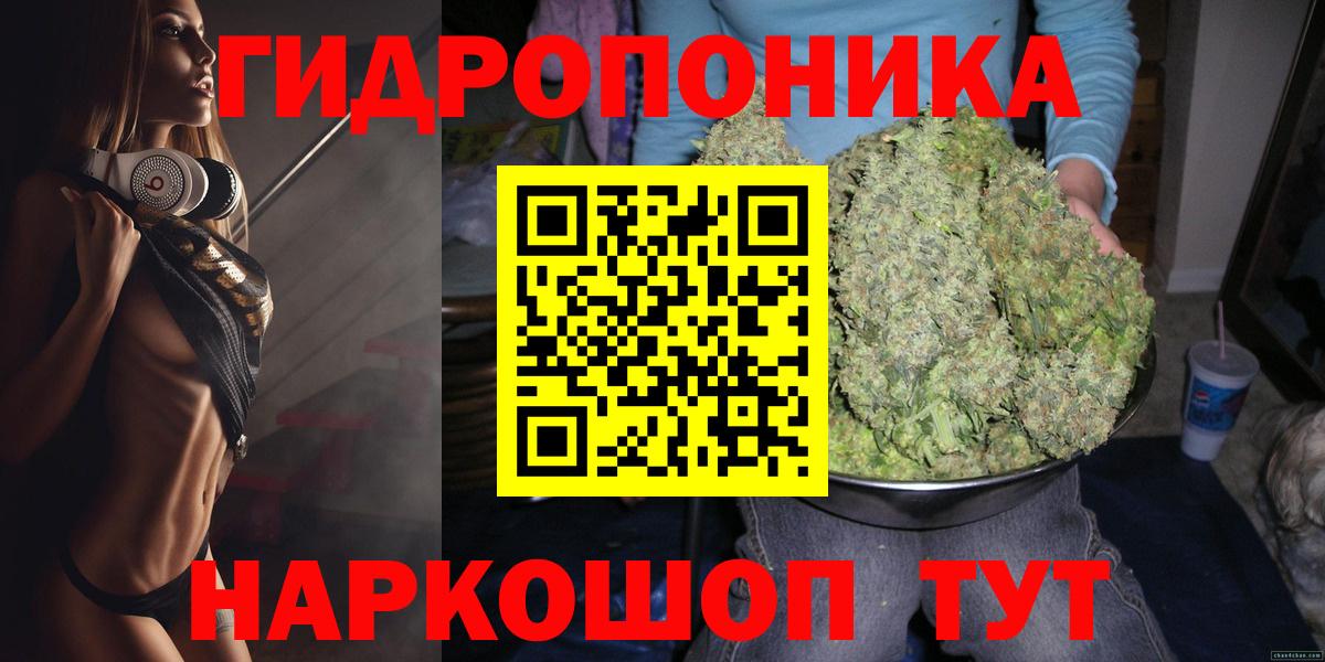 Конопля индика  МАРИХУАНА Bruce Banner  Канабис план  Конопля Ganja  Чернушка  Вход с VPN 